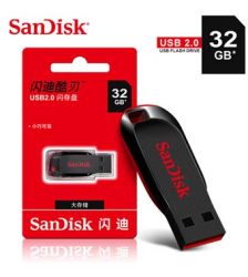 Sandisk 32GB Flash Disk